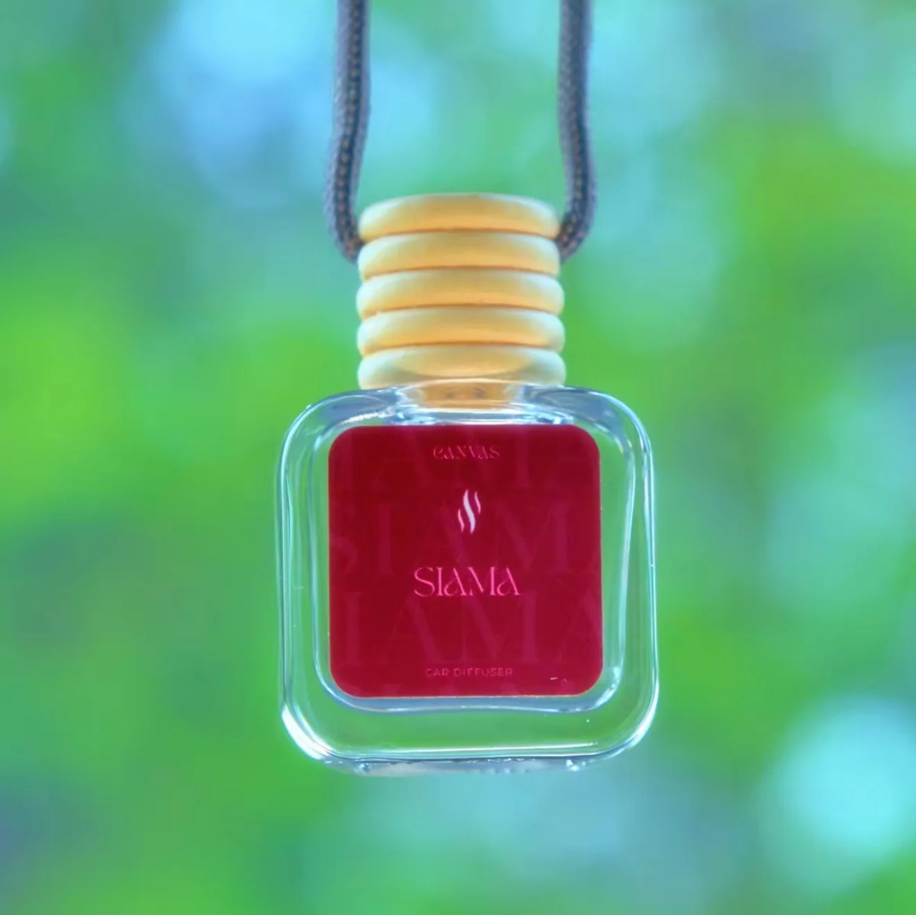 DIFFUSER: SIAMA